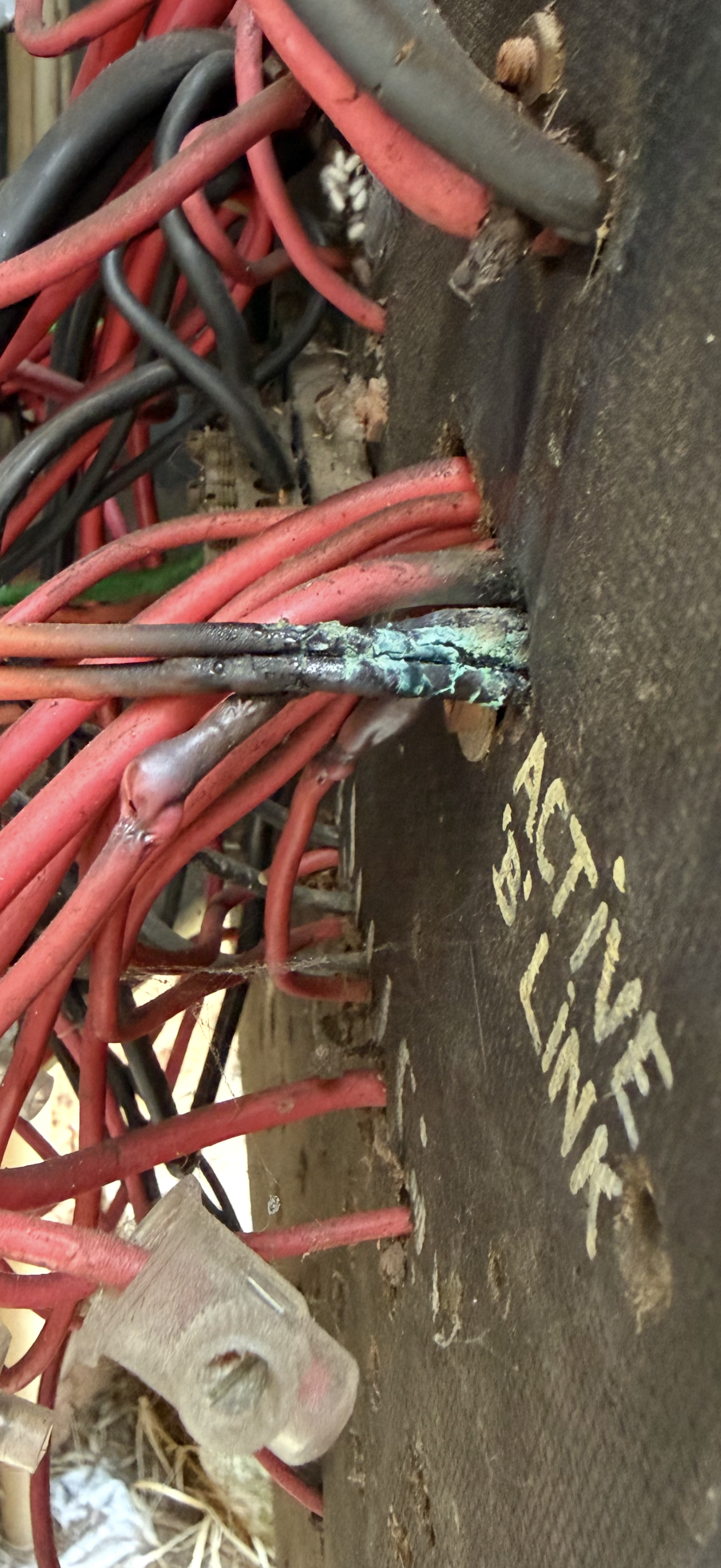 Emergency Electrical - Xceed Electrical Sunshine Coast - image 1